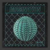 Imagination