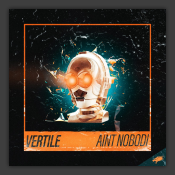 Ain't Nobodi